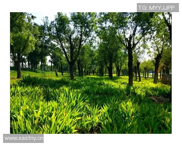 弗拉格盛赞克尼佩尔有望成为4号秀未来发展前景令人期待 弗拉格盛赞克尼佩尔有望成为4号秀未来发展前景令人期待