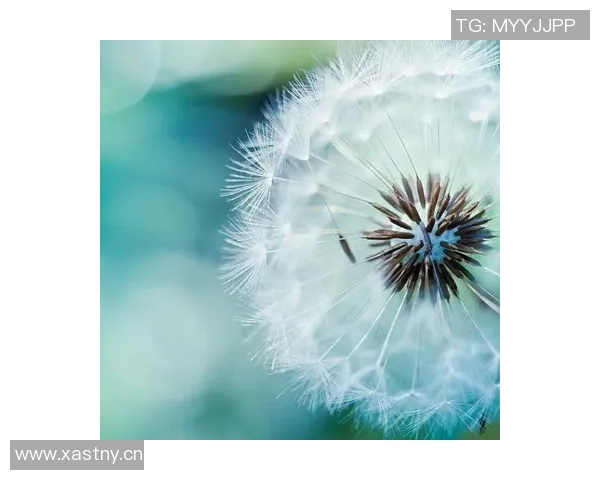 文班亚马晒照悼念祖母情深意重昨日泪水难掩哀伤心情 文班亚马晒照悼念祖母情深意重昨日泪水难掩哀伤心情